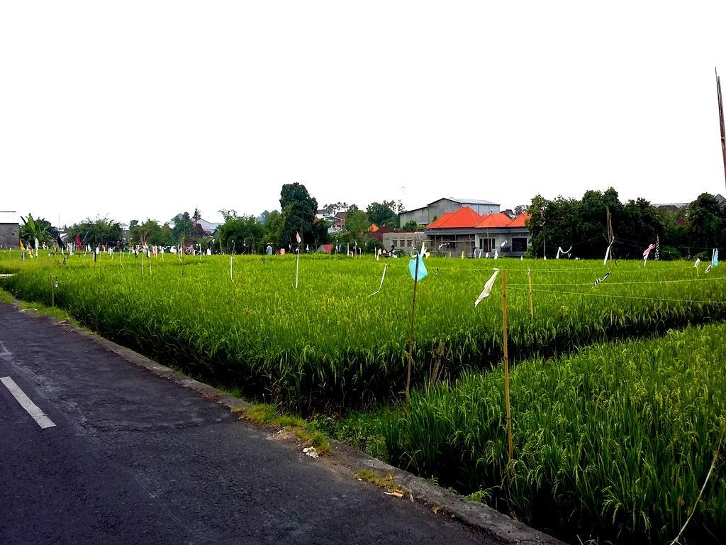 Reddoorz At Kerobokan Seminyak 2 Exterior foto